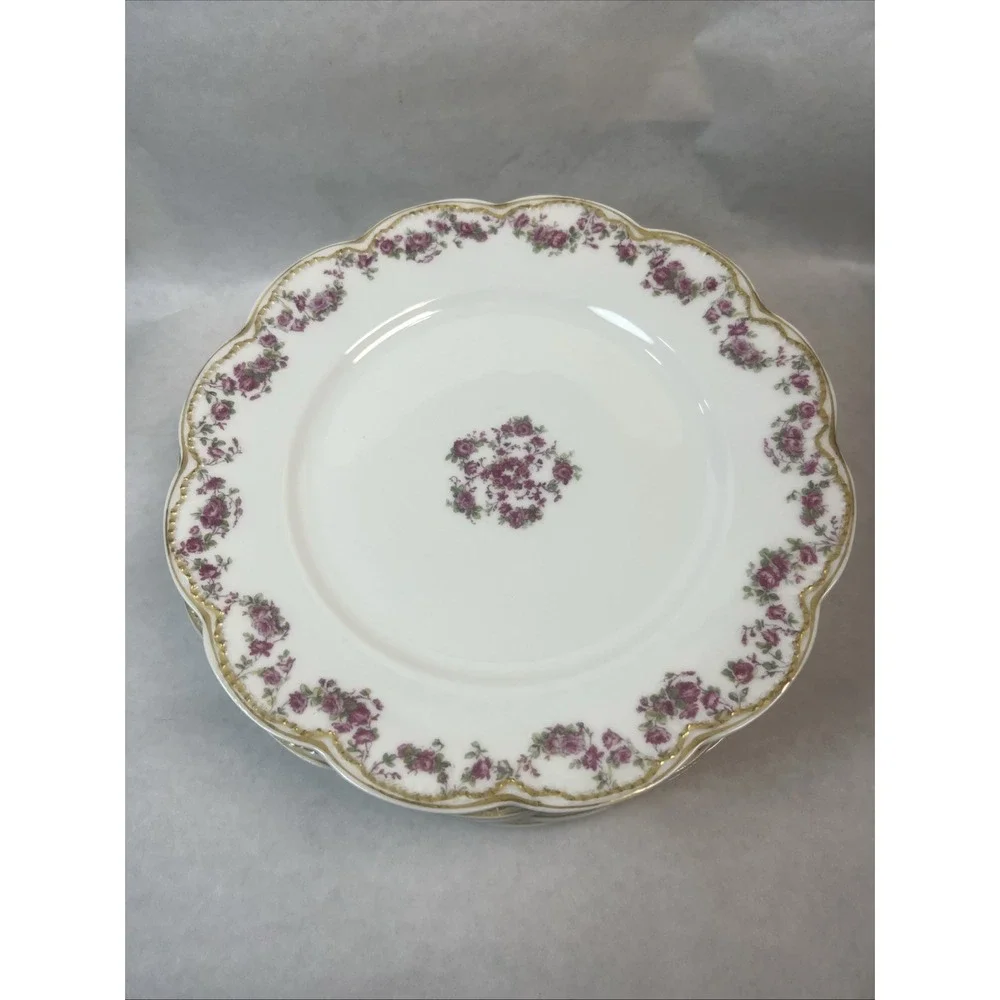 Haviland & Co Limoges Schleiger 270 Dinner Plates. 9.75